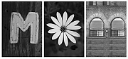 Wall_Art_Alphabet_Photography_Art_ 1457